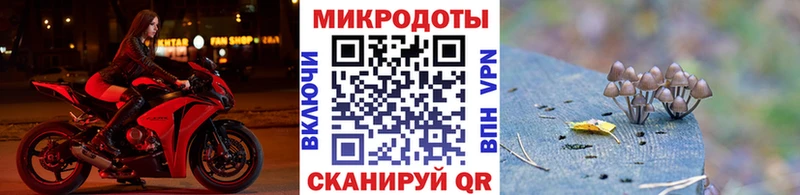 даркнет состав  дарнет шоп  Невельск  Галлюциногенные грибы мухоморы 